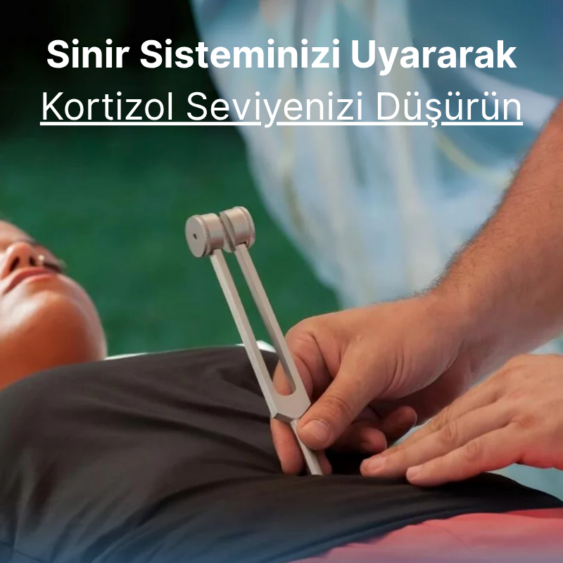 Liberocean® Souliva 128 Hz Titreşim Terapi Çubuğu