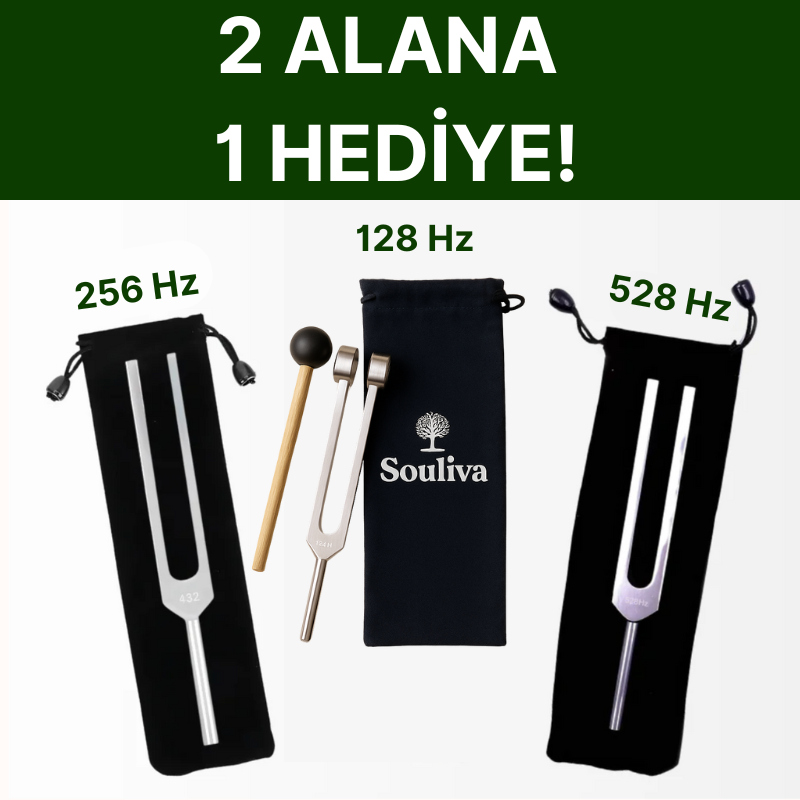 Liberocean® Souliva 128 Hz Titreşim Terapi Çubuğu